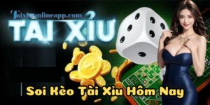 Hướng dẫn Soi Kèo Tài Xỉu Hôm Nay cho người mới