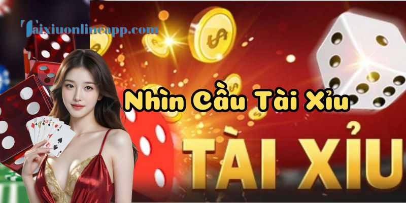 Người chơi mới nên biết cách Nhìn Cầu Tài Xỉu