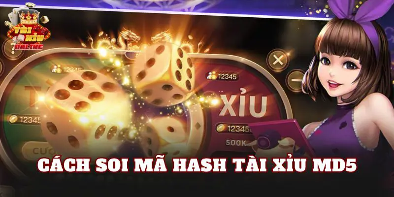 Cách Soi Mã Hash Tài Xỉu MD5