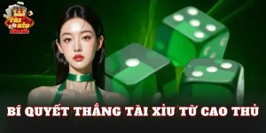 Bí Quyết Thắng Tài Xỉu Từ Cao Thủ