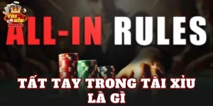 Tất Tay Trong Tài Xỉu Là Gì